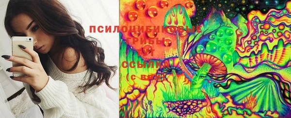 хмурый Баксан