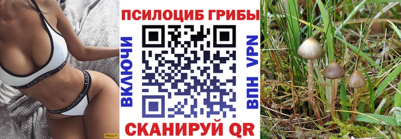 наркошоп Бузулук Псилоцибиновые грибы Psilocybe